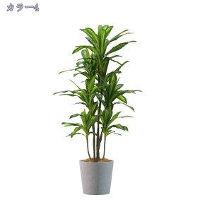 2000~OFFN[| lHϗtA @ׂȎ { tFCNA lH tFCNc[ rO[ ItBX K[f p[eB[ p tFCNV~[Vc[ 