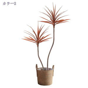 1000~OFFN[| tFCNO[ ϗtA tFCNO[  j v[g  A tFCN ϗtA ItBX  zer[ i V~[Vt