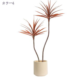 1000~OFFN[| tFCNO[ ϗtA tFCNO[  j v[g  A tFCN ϗtA ItBX  zer[ i V~[Vt