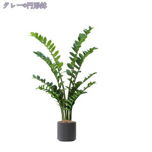 1000~OFFN[| lHϗtA ^ lHϗtA  CeA tFCNA tFCNO[ sv ͂Ȃ ~͐A 邢 u₩ȕ͋C    rO xbh