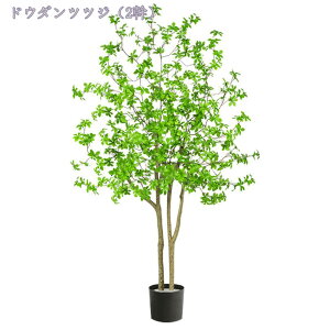 1000~OFFN[| tFCNO[ ^ 傫 i` ^tFCNO[ FI Ԃ̉t lHϗtA A tFCN A  CeA lHϗtA lH