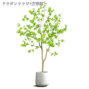 1000~OFFN[| tFCNO[ ^ 傫 i` ^tFCNO[ FI Ԃ̉t lHϗtA A tFCN A  CeA lHϗtA lH