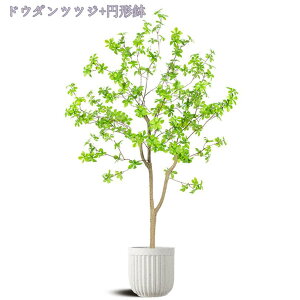 1000~OFFN[| tFCNO[ ^ 傫 i` ^tFCNO[ FI Ԃ̉t lHϗtA A tFCN A  CeA lHϗtA lH