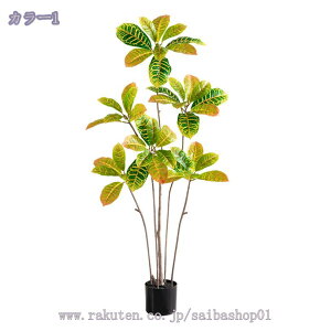 1000~OFFN[| tFCNO[ ^  lHϗA  lHϗt tFCNϗtA lHϗtA Vv ItBX  CeA j ̓ lHϗtAtFC