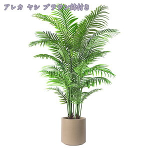 2000~OFFN[| lHϗtA 傫 { ډB tFCNO[ ^ lHA CeA lHϗtA tFCNt rO ϗtA lHϗtA j v[g Mt