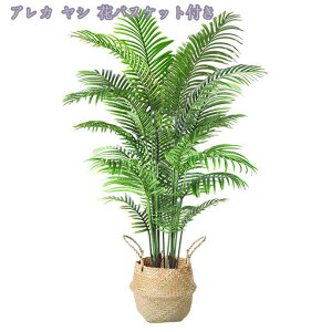 3500~OFFN[| lHϗtA 傫 { ډB tFCNO[ ^ lHA CeA lHϗtA tFCNt rO ϗtA lHϗtA j v[g Mt