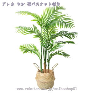 1000~OFFN[| lHϗtA ډB CeA ItBX GgX rO[ ze p  tFCNc[ z[ fR[V  JXj Vzj zj