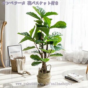 1000~OFFN[| lHA ^ tFCNO[ lHϗtA  AȎ} Rȗt u₩ ȒP sv Q쏜sv  ƒ 悯oRj[  Iȑ z