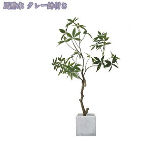 1000~OFFN[| lHϗtA ^  tFCNO[ lH tFCNA sv ͂Ȃ ~͐A CeA  O ze a v[g JXj Vzj z