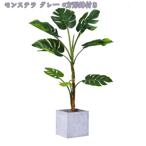 tFCNO[ A tFCNϗtA lHϗtA tFCNvg Rȕ͋C ItBX nEX t@[nEX z[fR[V rO[  O lHA ^ 