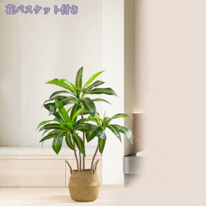 1000~OFFN[| lHϗtA tFCNO[ ^ ϗtA  lHA lHϗt CeAO[  ItBX   tFCNO[ ϗA lHϗt tFC