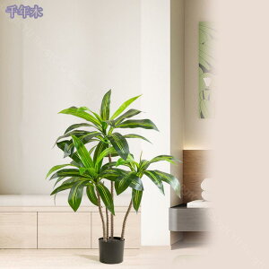 lHϗtA tFCNO[ ^ ϗtA  lHA lHϗt CeAO[  ItBX   tFCNO[ ϗA lHϗt tFCNϗtA p