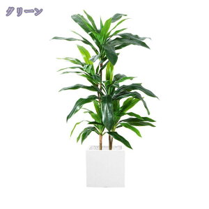 2000~OFFN[| tFCNO[  ^ϗtA i` N₩ȐF ׍HJ lHϗtA q Q x_  ze tFCNO[ CeA b炸 