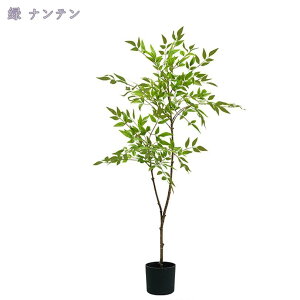 tFCNO[ ^ϗtA CeA tFCN t lHϗtA ȒP sv QSzȂ Vv  rO  JX Vz zj ̓ Mt