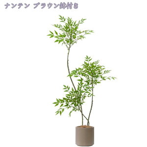 1000円OFFクーポン フェイクグリーン 大型観葉植物 目隠し リアル フェイクグリーン 人工観葉植物 造花 人工植物 大型サイズ フェイク 簡単世話いらず インテリア 屋内 リビング オフィス 枯