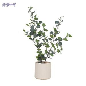 2000~OFFN[| ^ϗtA lHϗtA  A CeAO[ ϗt l ^ A Aؔ re[WH ͗lւ z ݑΖ [gc wi lA l