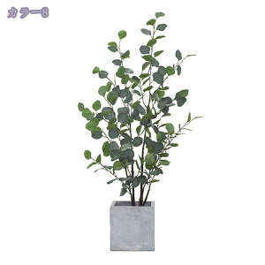 2000~OFFN[| ^ϗtA lHϗtA  A CeAO[ ϗt l ^ A Aؔ re[WH ͗lւ z ݑΖ [gc wi lA l