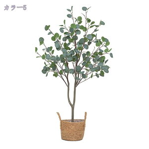 tFCNO[ lHϗtA Iȑ ^ ϗt CeA  ƒ 悯oRj[  Q ze  ϋv tFCNO[ { u₩ ډB lHϗtA