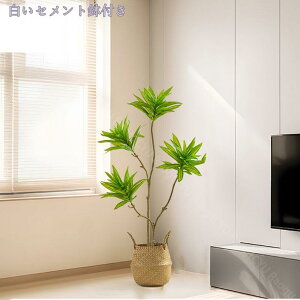 tFCNO[ lHϗtA Iȑ ^ ϗt CeA  ƒ 悯oRj[  Q ze  ϋv tFCNO[ { u₩ ډB lHϗtA