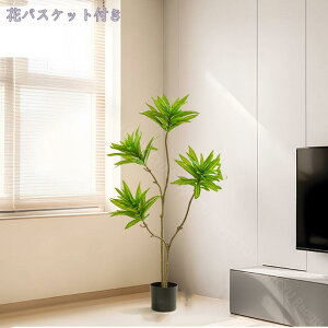 tFCNO[ lHϗtA Iȑ ^ ϗt CeA  ƒ 悯oRj[  Q ze  ϋv tFCNO[ { u₩ ډB lHϗtA