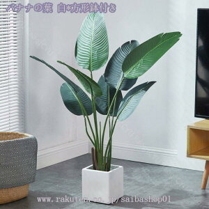 2000~OFFN[| lHϗtA tFCN ^ ^ϗt A V~[V ~͐A gsJA tFCNO[  ze ItBX CeA  OtFCNA l