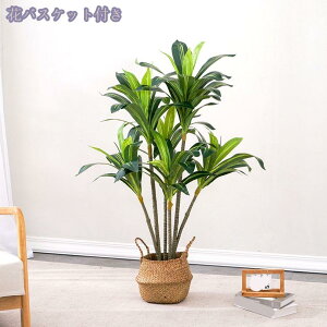 1000~OFFN[| ^ϗt tFCNO[ A tFCNc[ N₩ȐF ׍HJ GgX c q Q x_  ze rO zj VXj 