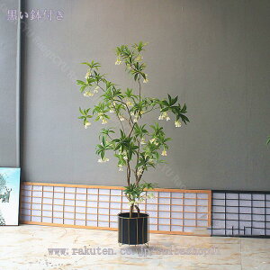 tFCNO[ lHϗtA Iȑ ^ ϗt CeA  ƒ 悯oRj[ Vzj ̓ ̓ Ղ 傫 _ ~͐A Mtg 蕨 z̃Mtg 