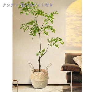 1000~OFFN[| ^ϗA tFCNO[ lHA Vv CeA ItBX  q Q x_  ze lHϗt  lHϗtA JXj Vzj z