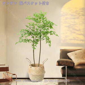 2000~OFFN[| tFCNO[  ^ϗtA i` N₩ȐF ׍HJ lHϗtA q Q x_  ze tFCNO[ CeA b炸 