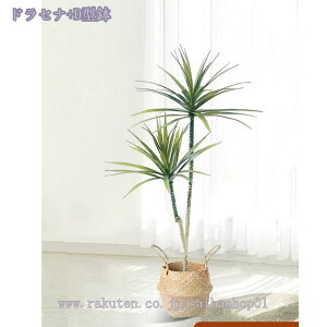 1000~OFFN[| 傫 tFCNO[ lHϗtA ϗtA p  Vv ItBX  CeA j JƏj zj ȒP sv ͂Ȃ ~