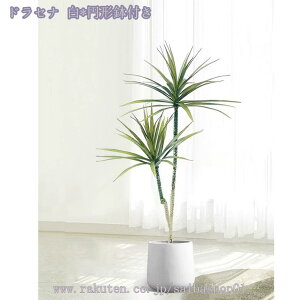 1000~OFFN[| 傫 tFCNO[ lHϗtA ϗtA p  Vv ItBX  CeA j JƏj zj ȒP sv ͂Ȃ ~