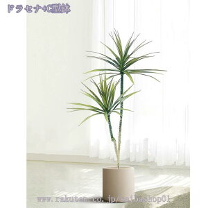 2000~OFFN[| ^ϗtA tFCNO[ ^ CeA  O sv ͂Ȃ ~͐A i` q c e Cxg pubNXy[X f[ u 