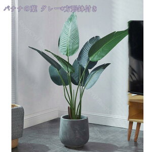 2000~OFFN[| lHϗtA tFCNO[ ^ CeA O tFCNA  sv ͂Ȃ ~͐A Vzj ̓ ̓ Mtg Ղ 蕨 A rO[