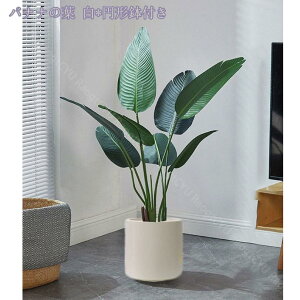 2000~OFFN[| lHϗtA tFCNO[ ^ CeA O tFCNA  sv ͂Ȃ ~͐A Vzj ̓ ̓ Mtg Ղ 蕨 A rO[