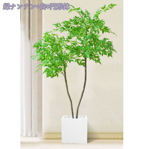 1000~OFFN[| tFCNO[ lHϗtA Iȑ ^ ϗt CeA  ƒ 悯oRj[ Vzj ̓ ̓ Ղ 傫 _ ~͐A Mtg 蕨 