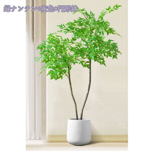 1000~OFFN[| tFCNO[ lHϗtA Iȑ ^ ϗt CeA  ƒ 悯oRj[ Vzj ̓ ̓ Ղ 傫 _ ~͐A Mtg 蕨 