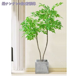 1000~OFFN[| tFCNO[ lHϗtA Iȑ ^ ϗt CeA  ƒ 悯oRj[ Vzj ̓ ̓ Ղ 傫 _ ~͐A Mtg 蕨 