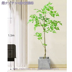 tFCNO[ lHϗtA Iȑ ^ ϗt CeA  ƒ 悯oRj[ Vzj ̓ ̓ Ղ 傫 _ ~͐A Mtg 蕨 z̃Mtg 