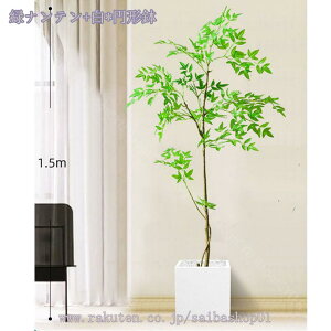 1000~OFFN[| tFCNO[ 傫 A lHϗtA A  ze CeA X X GgX c Ή E P vX`bN b炸 j 