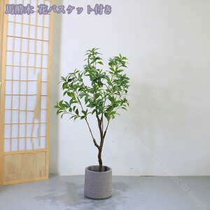 2000~OFFN[| 傫 tFCNO[ lHϗtA ϗtA p  Vv ItBX  CeA j JƏj zj ȒP sv ͂Ȃ ~