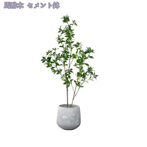 tFCNO[ 傫 A lHϗtA A  ze CeA X X GgX c Ή E P vX`bN b炸 j JƏj Mtg 