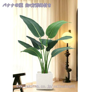 2000~OFFN[| tFCNO[ ϗtA tFCN lHϗtA ^ X GgX c ItBX Ή E P  ze [ rO j JXj JƏj