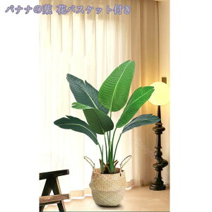 1000~OFFN[| ^ϗtA tFCN  ʎt ډB rbO~ gsJA tFCNO[ ^ Iȑ b炸 sv ͂Ȃ  CeA ze