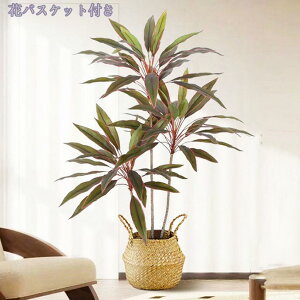 1000~OFFN[| tFCNO[ ^ϗtA ʎt i` N₩ȐF ׍HJ q Q x_  ze tFCNO[ CeA b炸  