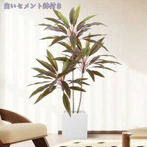 1000~OFFN[| tFCNO[ ^ϗtA ʎt i` N₩ȐF ׍HJ q Q x_  ze tFCNO[ CeA b炸  