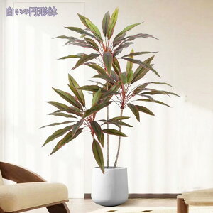 1000~OFFN[| tFCNO[ ϗtA tFCN lHϗtA ^ X GgX c ItBX Ή E P  ze [ rO j JXj JƏj