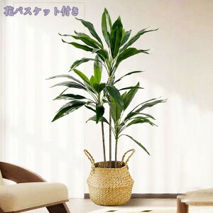 2000~OFFN[| tFCNO[ lHϗtA Iȑ ^ ϗt CeA  ƒ 悯oRj[  Q ze  ϋv tFCNO[ { u₩ 