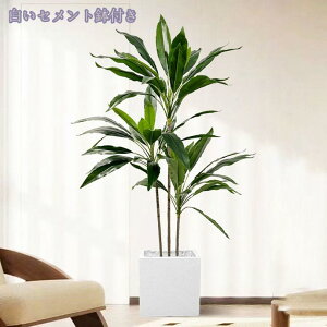 1000~OFFN[| tFCNO[  ^ϗtA i` N₩ȐF ׍HJ lHϗtA q Q x_  ze tFCNO[ CeA b炸 