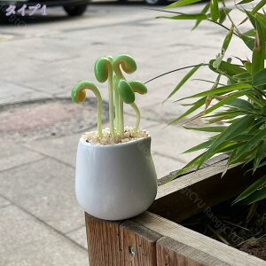 300~OFFN[| 萻 H|i  蕨 IuWF  A CeA u lHA ~jAؔ I[ig T{e z[ ItBX fXN    e[u 킢 N