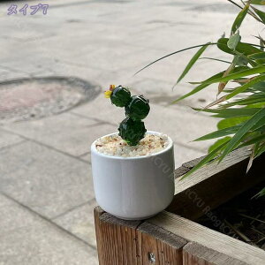 777~OFFN[| 萻 H|i  蕨 IuWF  A CeA u lHA ~jAؔ I[ig T{e z[ ItBX fXN    e[u 킢 N